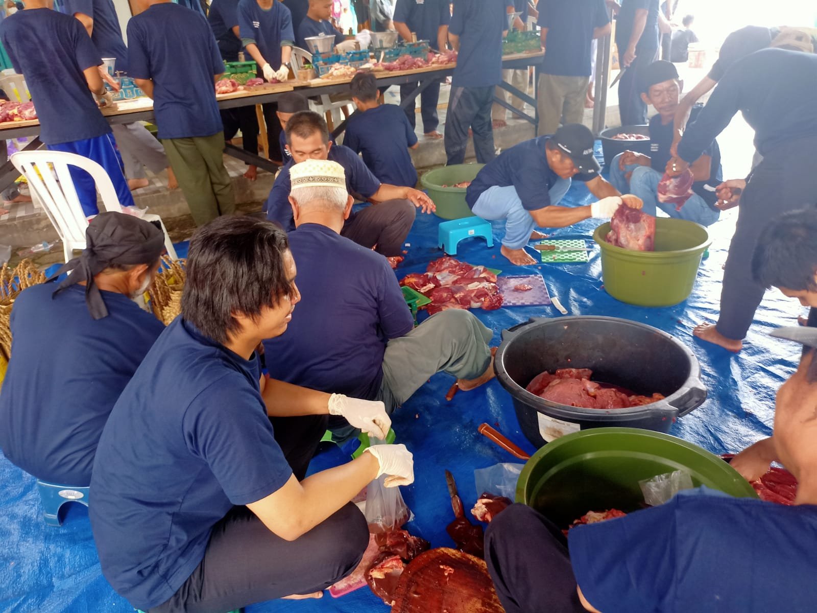 Masjid Al Istiqomah Potong Ekor Sapi Kurban Klik Kalimantan