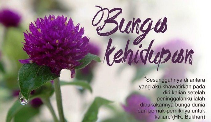 Bunga Kehidupan – Klik Kalimantan