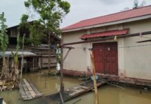 DKPP Sebut LPM Terbengkalai Karena Kepengurusan Poktan, Distan Pastikan Semua Poktan Aktif