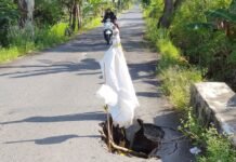 Ruas Jalan di Desa Sungai Alat Rusak, Dinas PUPRP Kabupaten Banjar Segera Lakukan Penanganan