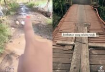 Puluhan Tahun Jalan Rusak Tanpa Perbaikan, Warga Desa Pemurus Mengadu ke Presiden Prabowo