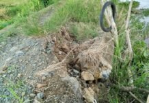 Kondisi Jalan Tani di Desa Labuan Tabu Dikeluhkan, Ada Pokir Dewan
