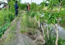 Proyek Jalan Tani Tanpa Koordinasi, Irwan Bora Tegaskan Pemdes Labuan Tabu Harusnya Mendukung
