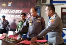 Penyelundupan Satwa Dilindungi Masih Sering Terjadi di Kalsel