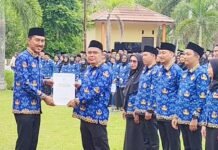 Akhirnya, 1.664 Tenaga Honorer Dikukuhkan Sebagai PPPK Paruh Waktu