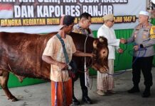 Polda Kalsel Serahkan Tiga Ekor Sapi Dukung Kelancaran Momen 5 Rajab Sekumpul