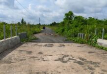 Di Tengah Padang Sunyi, Pembangunan Jembatan di Kelurahan Cempaka untuk Siapa?