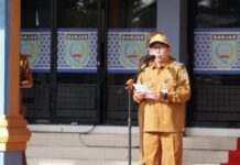 665 Perpustakaan di Kabupaten Banjar Memiliki NPP, Plh Sekda: 45 Memenuhi Standar Perpustakaan Nasional