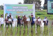 Sekolah Lapang Iklim 2026 Dimulai, Kelas Perdana di Desa Sungai Tabuk