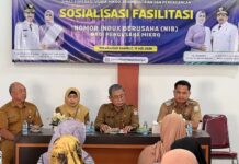 Kepala DKUMPP: NIB ‘Paspor’ UMKM Menembus Pasar Lebih Luas