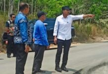 Bupati Pantau Perbaikan Jalan di Sejumlah Desa