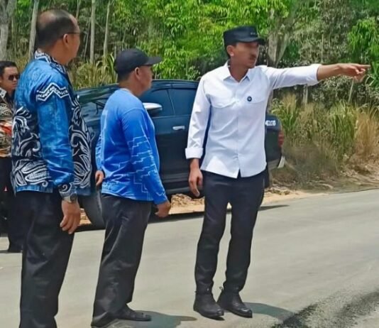 Bupati Pantau Perbaikan Jalan di Sejumlah Desa
