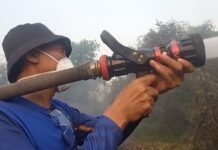 Karhutla di Kabupaten Banjar, Bupati Ikut Padamkan Api